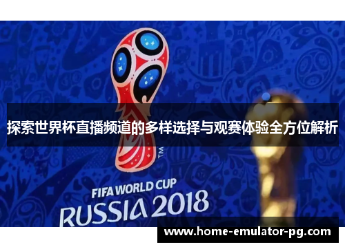 探索世界杯直播频道的多样选择与观赛体验全方位解析