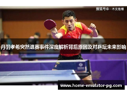 丹羽孝希突然退赛事件深度解析背后原因及对乒坛未来影响