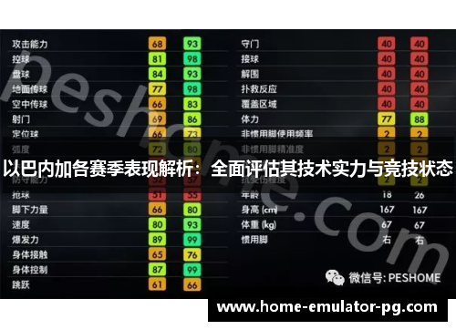 以巴内加各赛季表现解析：全面评估其技术实力与竞技状态