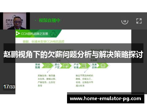 赵鹏视角下的欠薪问题分析与解决策略探讨