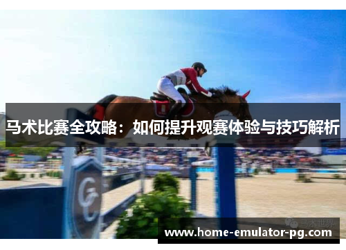 马术比赛全攻略：如何提升观赛体验与技巧解析