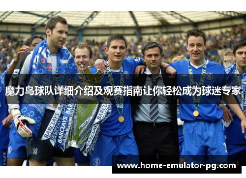魔力鸟球队详细介绍及观赛指南让你轻松成为球迷专家 魔力鸟球队详细介绍及观赛指南让你轻松成为球迷专家