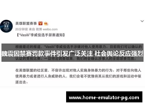 魏震因禁赛罚款事件引发广泛关注 社会舆论反应强烈 魏震因禁赛罚款事件引发广泛关注 社会舆论反应强烈