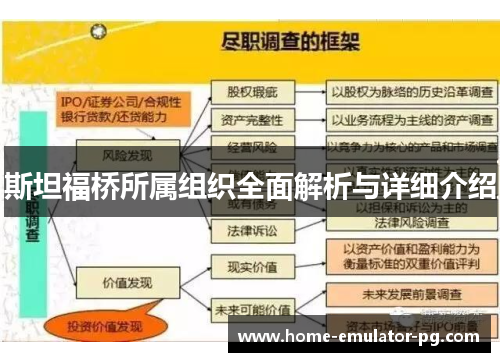 斯坦福桥所属组织全面解析与详细介绍
